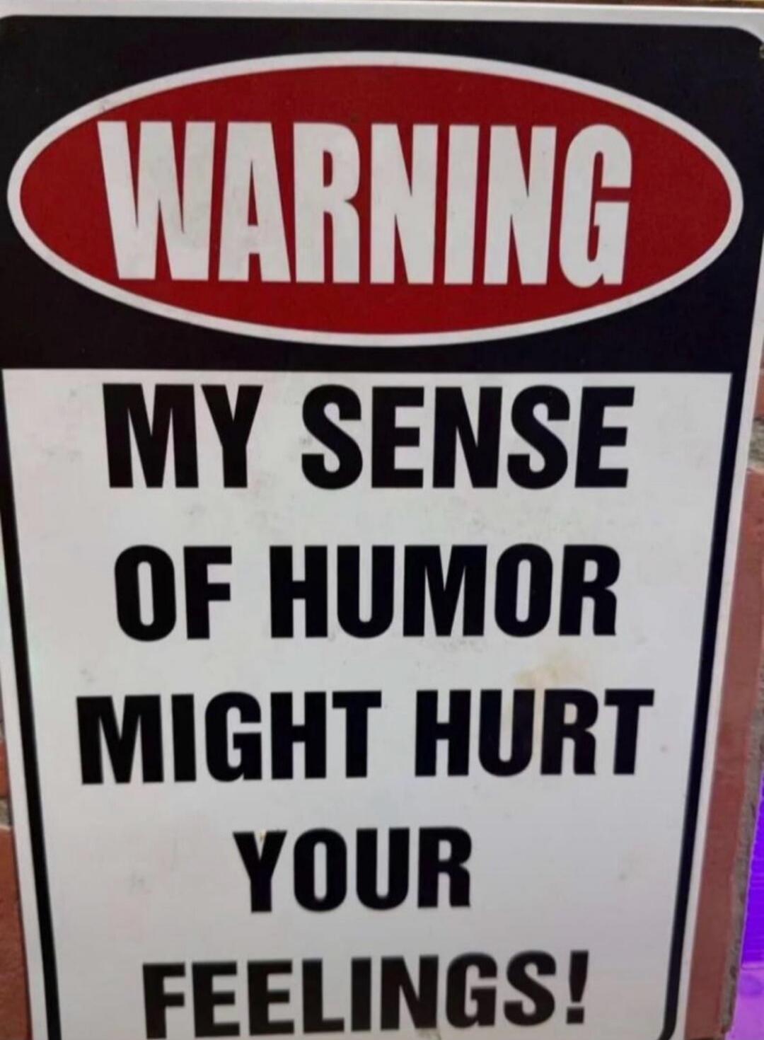 WARNING MY SENSE OF HUMOR MIGHT HURT YOUR FEELINGS!