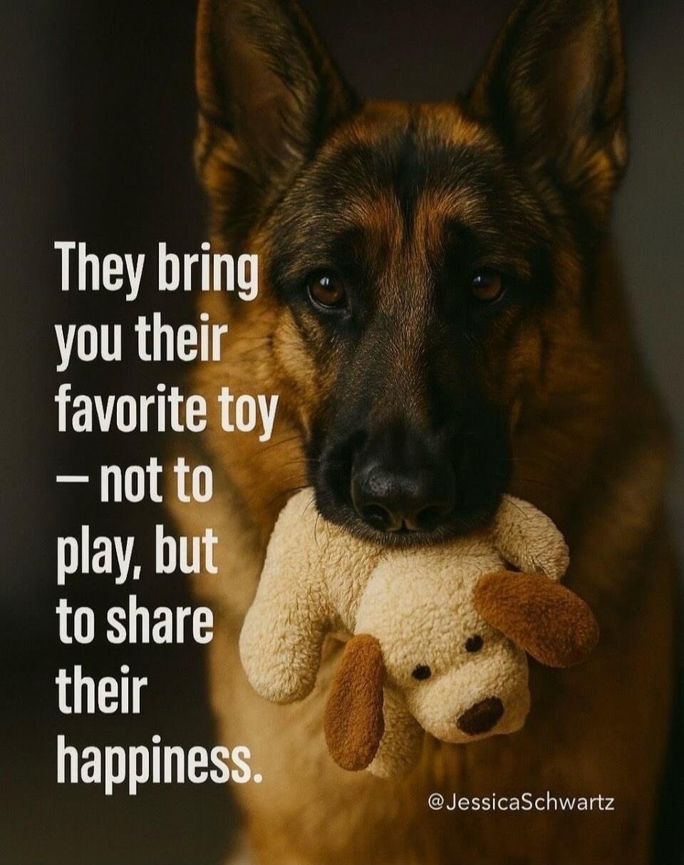 They bring you their favorite toy — not to play, but to share their happiness. @JessicaSchwartz