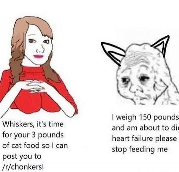 Whiskers, it's time for your 3 pounds of cat food so I can post you to /r/chonkers! I weigh 150 pounds and am about to die heart failure please stop feeding me