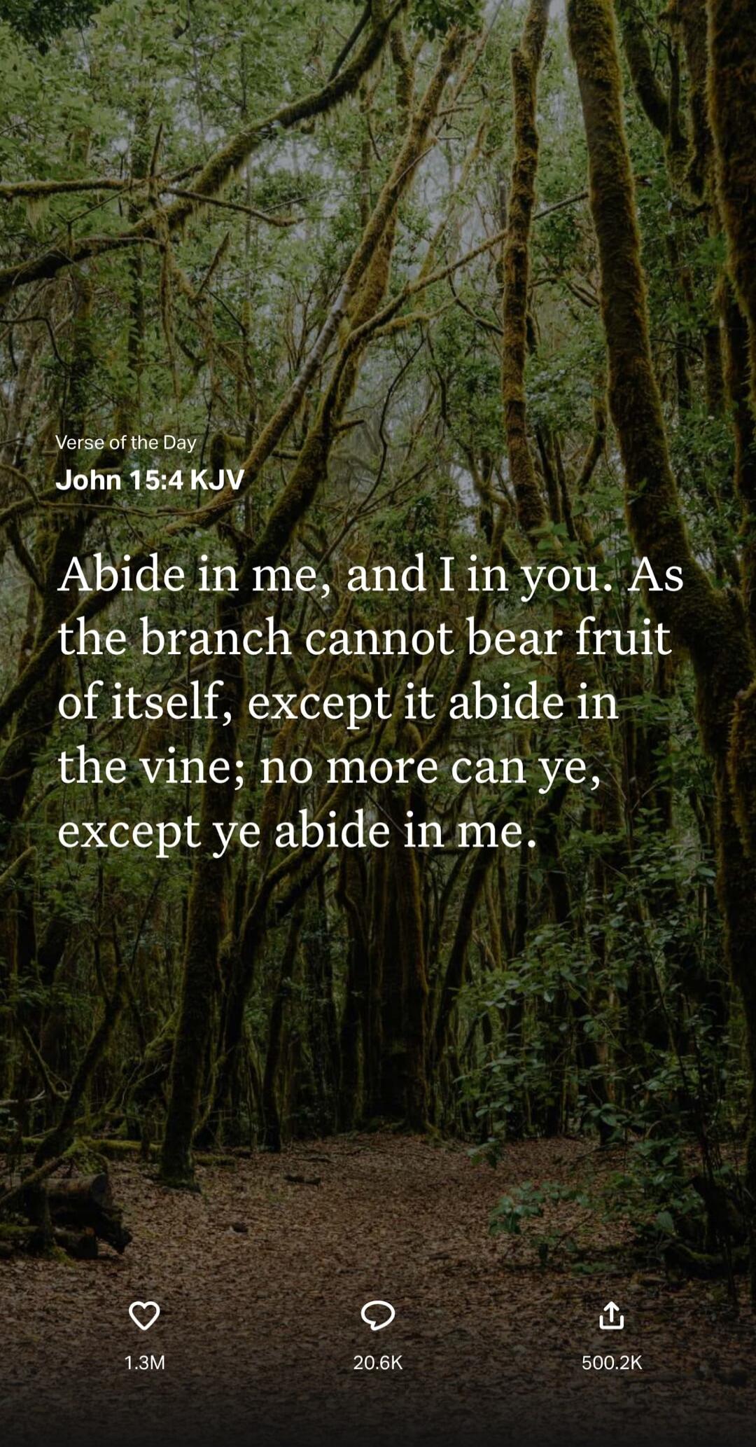 Verse of the Day
John 15:4 KJV
Abide in me, and I in you. As the branch cannot bear fruit of itself, except it abide in the vine; no more can ye, except ye abide in me.