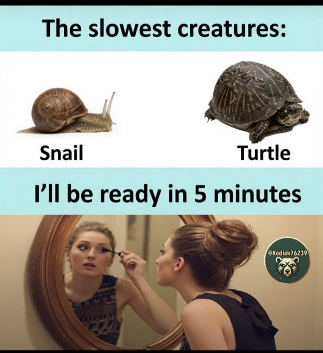 The slowest creatures: Snail Turtle I'll be ready in 5 minutes
