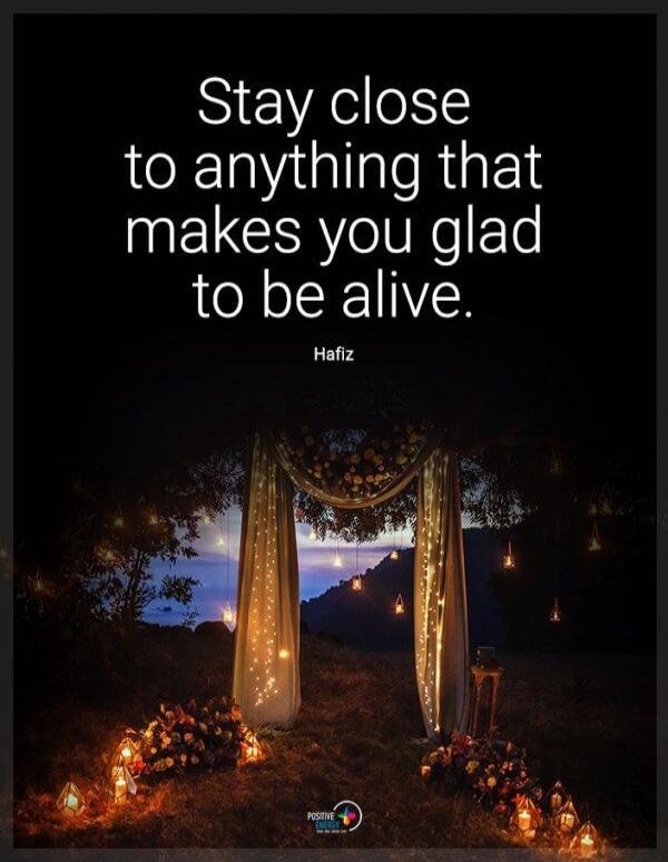 Stay close to anything that makes you glad to be alive. Hafiz