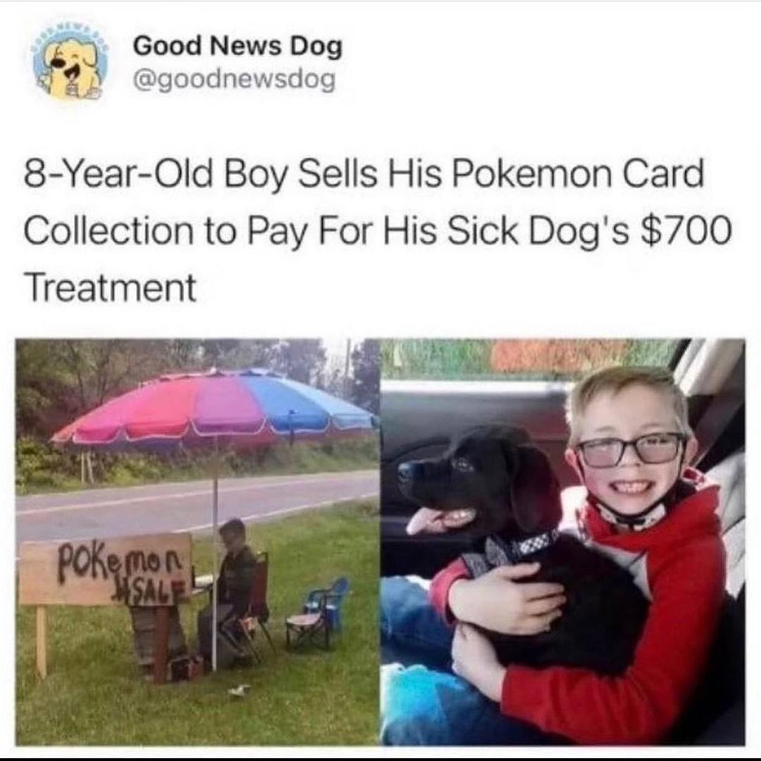 q Good News Dog i goodnewsdog 8 Year 0Old Boy Sells His Pokemon Card Collection to Pay For His Sick Dogs 700 Treatment