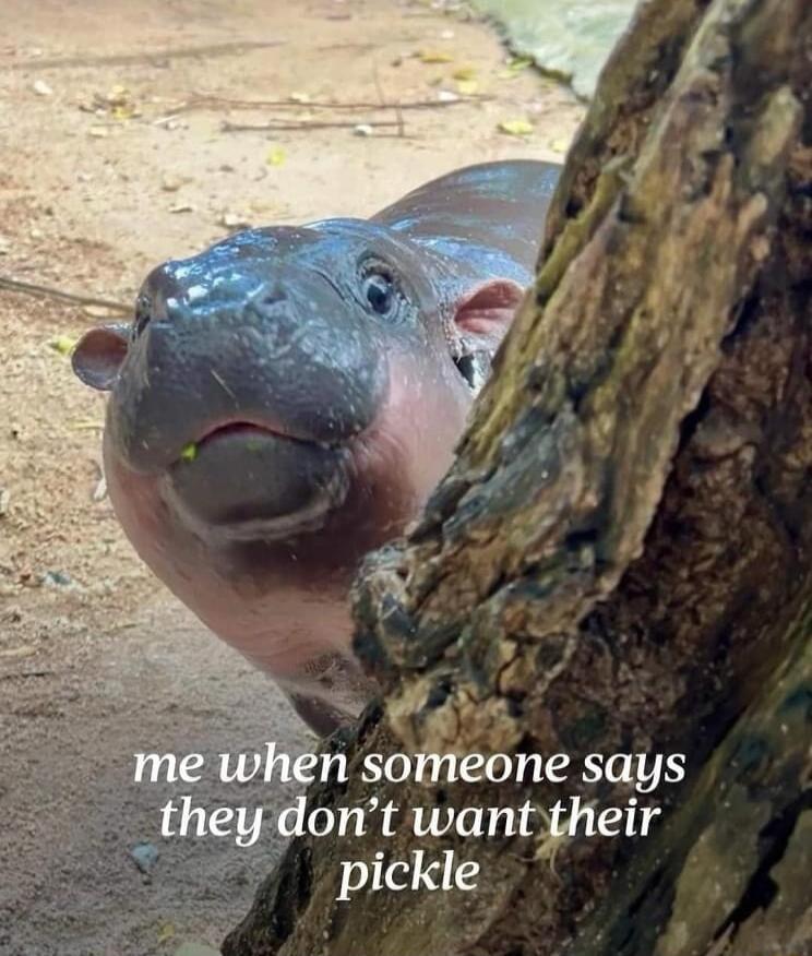 A dits n soineone says theydont want their pickle