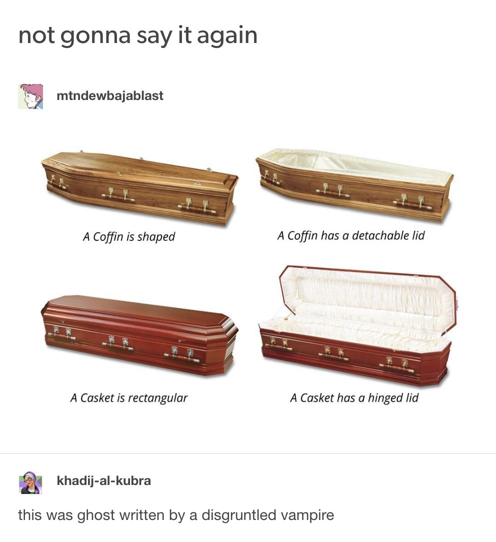 not gonna say it again mindewbajablast Sy Acoffnis shoped A Coffin has a detachable i A Casketis rectangulor A Casket has a hinged lid By Khadij al kubra this was ghost written by a disgruntied vampire