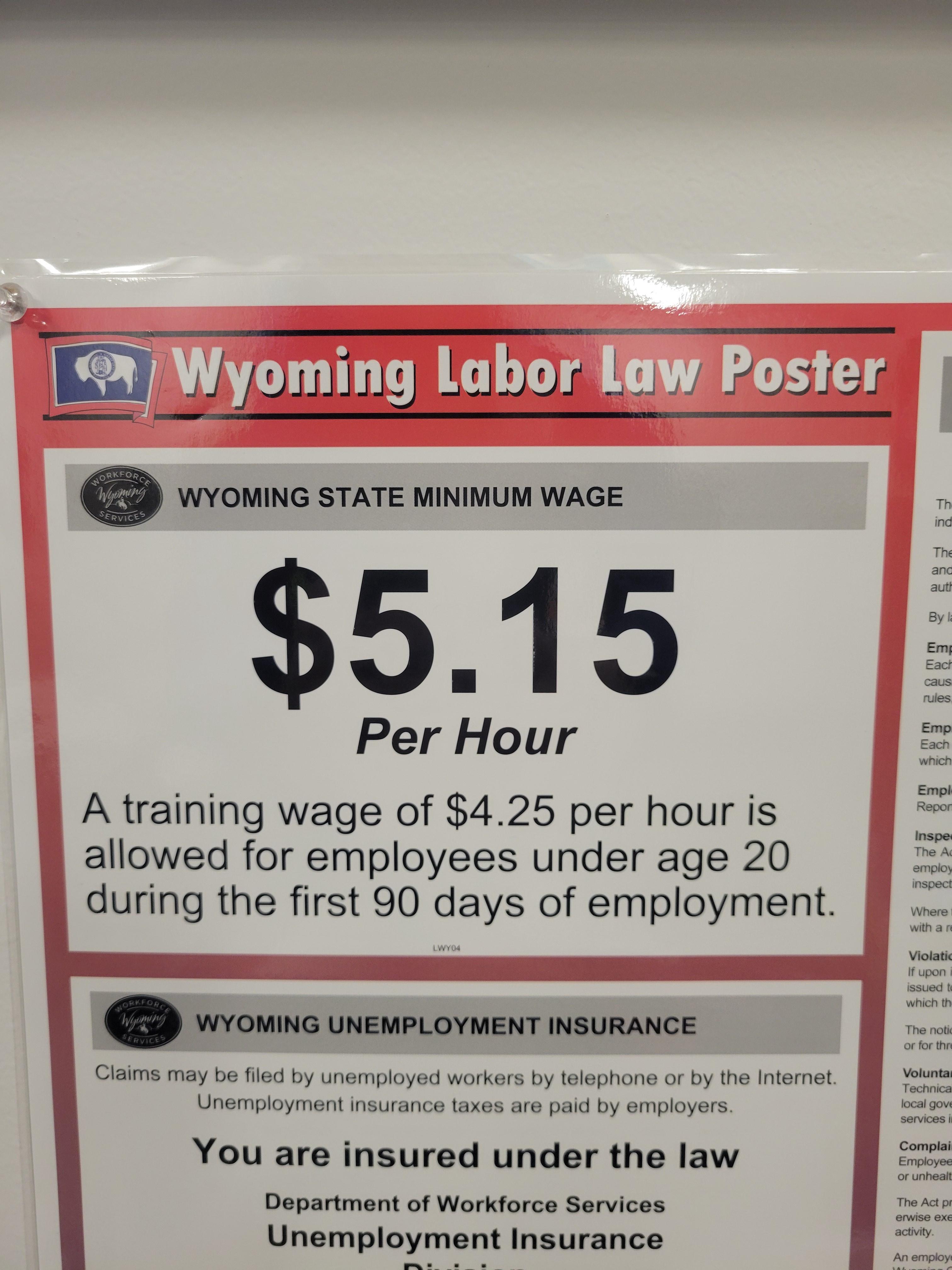 KZ2 WYOMING STATE MINIMUM WAGE 515 Per Hour A training wage of 425 per hour is allowed for employees under age 20 during the first 90 days of employment WYOMING UNEMPLOYMENT INSURANCE Claims may be filed by unemployed workers by telephone or by the Internet Unemployment insurance taxes are paid by employers You are insured under the law Department of Workforce Services Unemployment Insurance emplo