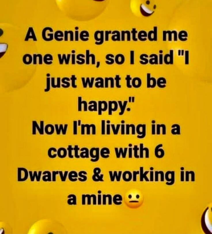 A Genie granted me one wish, so I said 