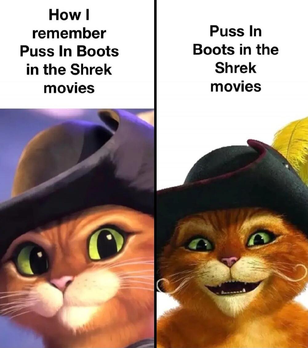 How I remember Puss In Boots in the Shrek movies
Puss In Boots in the Shrek movies