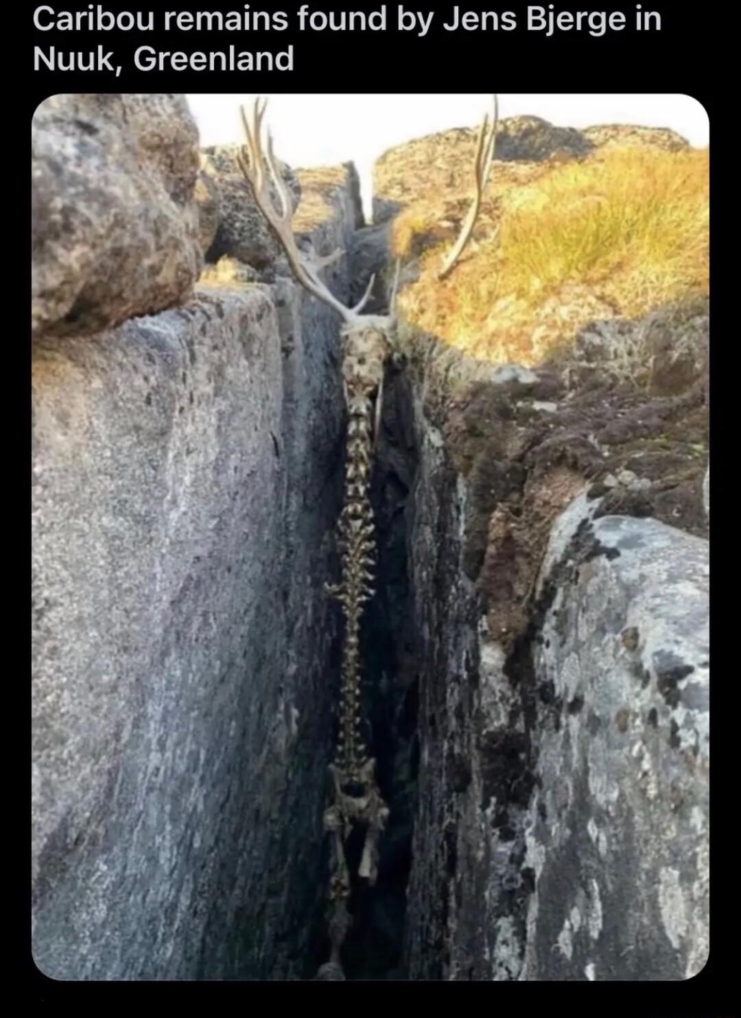 oT L IR T BT ER 0T Te RO UN T R 11T R Nuuk Greenland