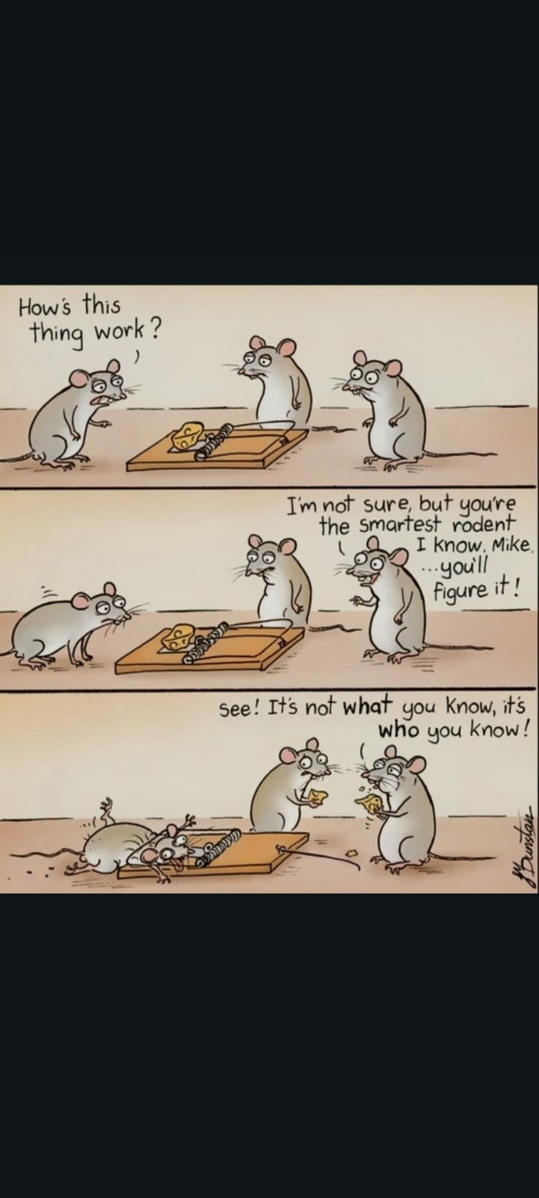 How's this thing work? I'm not sure, but you're the smartest rodent I know, Mike. ...you'll figure it! See! It's not what you know, it's who you know!