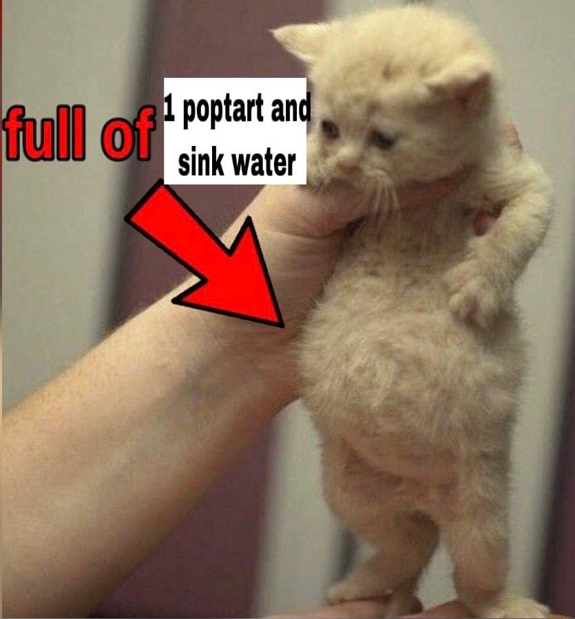 poptart an sink water