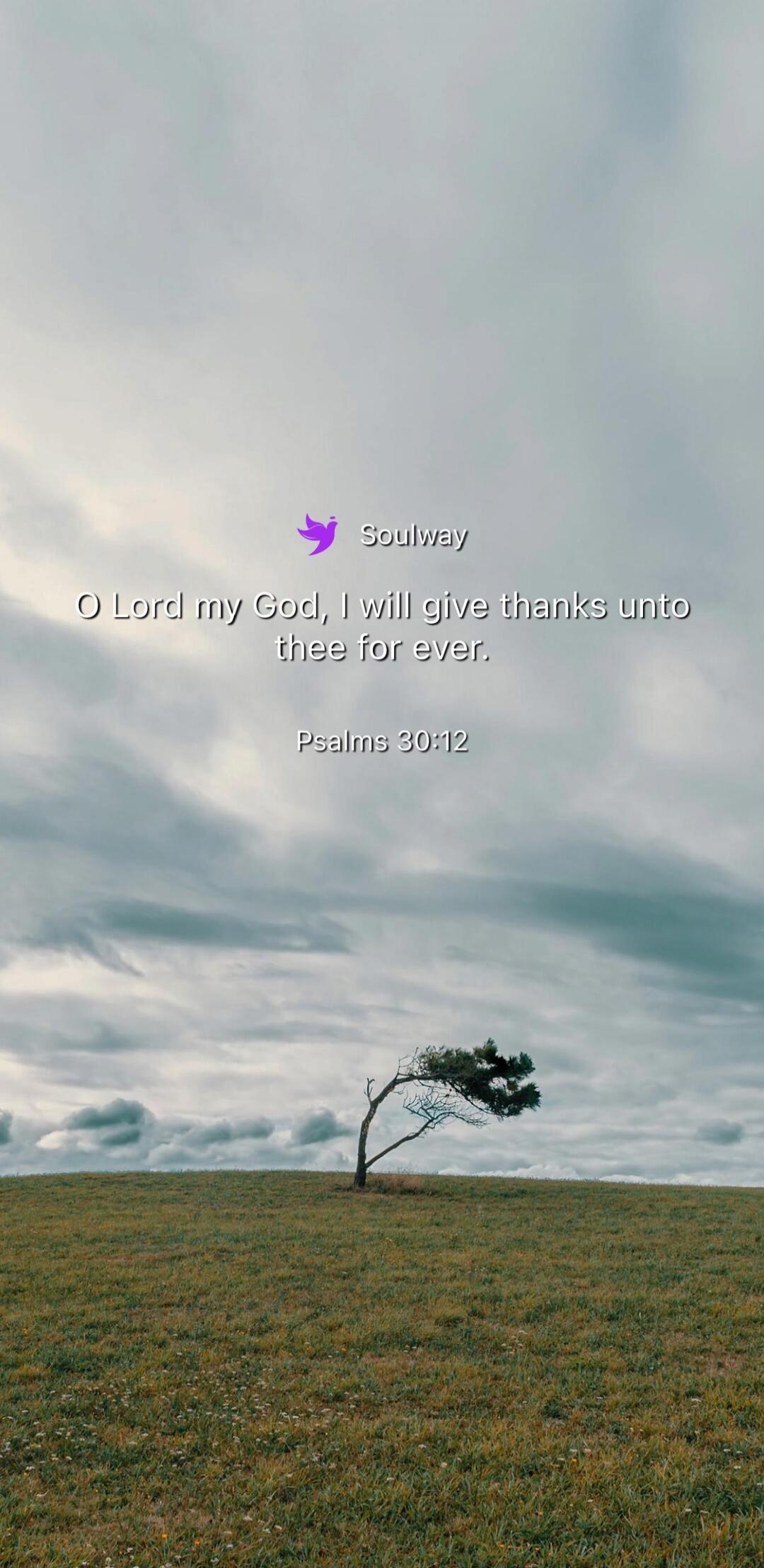 Soulway O Lord my God, I will give thanks unto thee for ever. Psalms 30:12