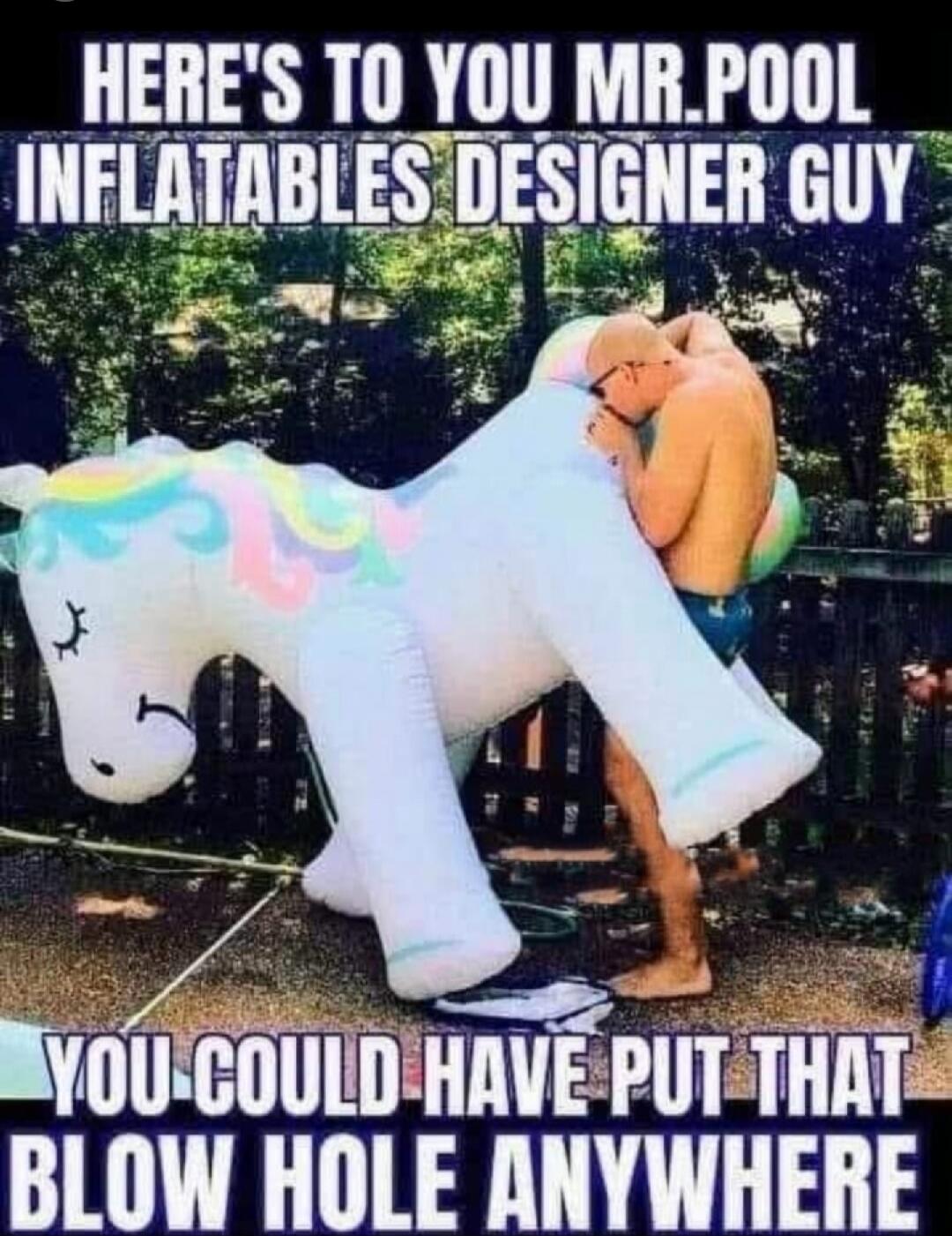 HERE'S TO YOU MR. POOL INFLATABLES DESIGNER GUY YOU COULD HAVE PUT THAT BLOW HOLE ANYWHERE