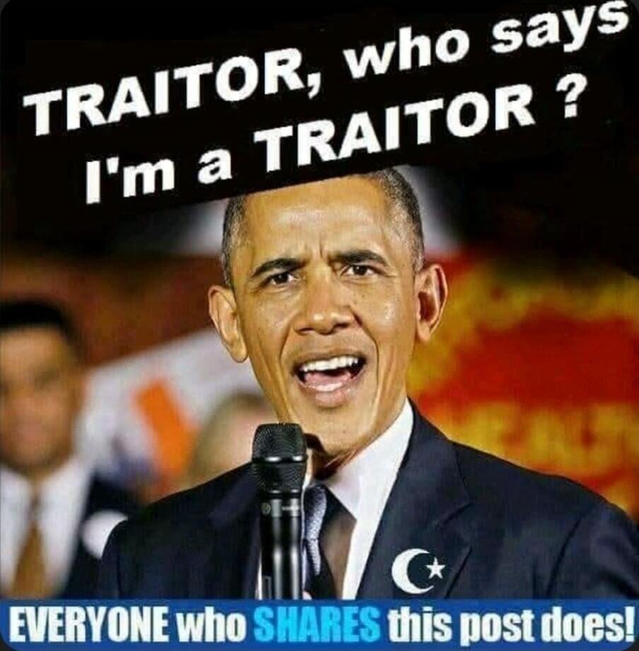 TRAITOR, who says I'm a TRAITOR? EVERYONE who SHARES this post does!