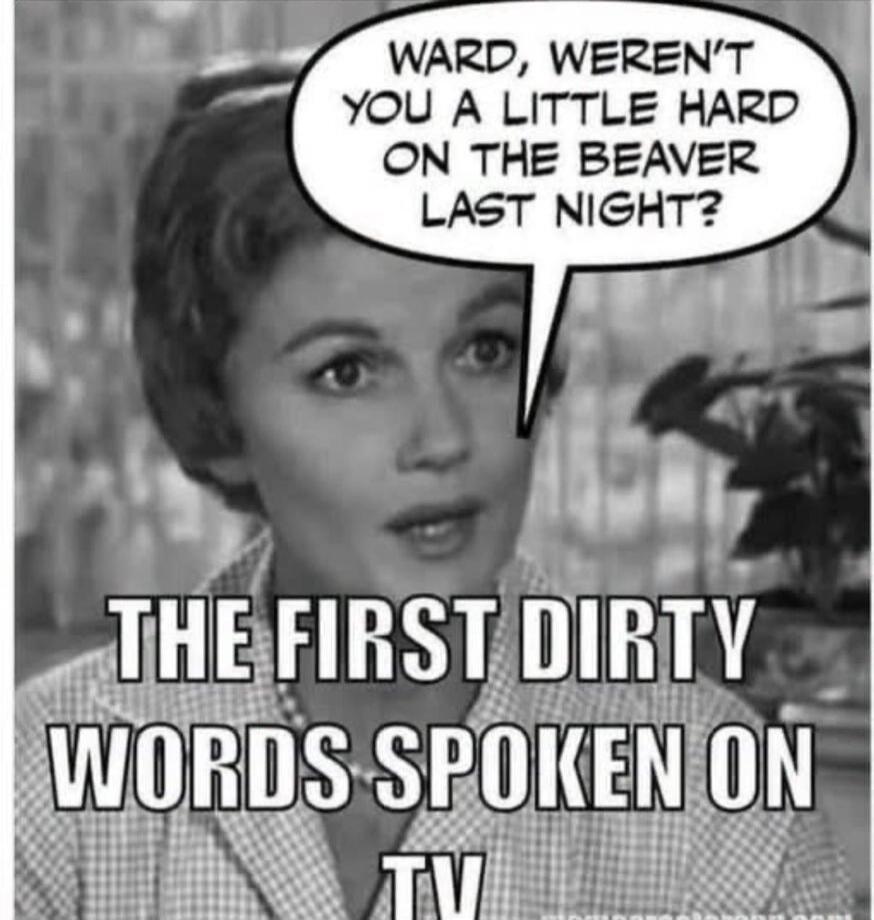 WARD, WEREN'T YOU A LITTLE HARD ON THE BEAVER LAST NIGHT? THE FIRST DIRTY WORDS SPOKEN ON TV