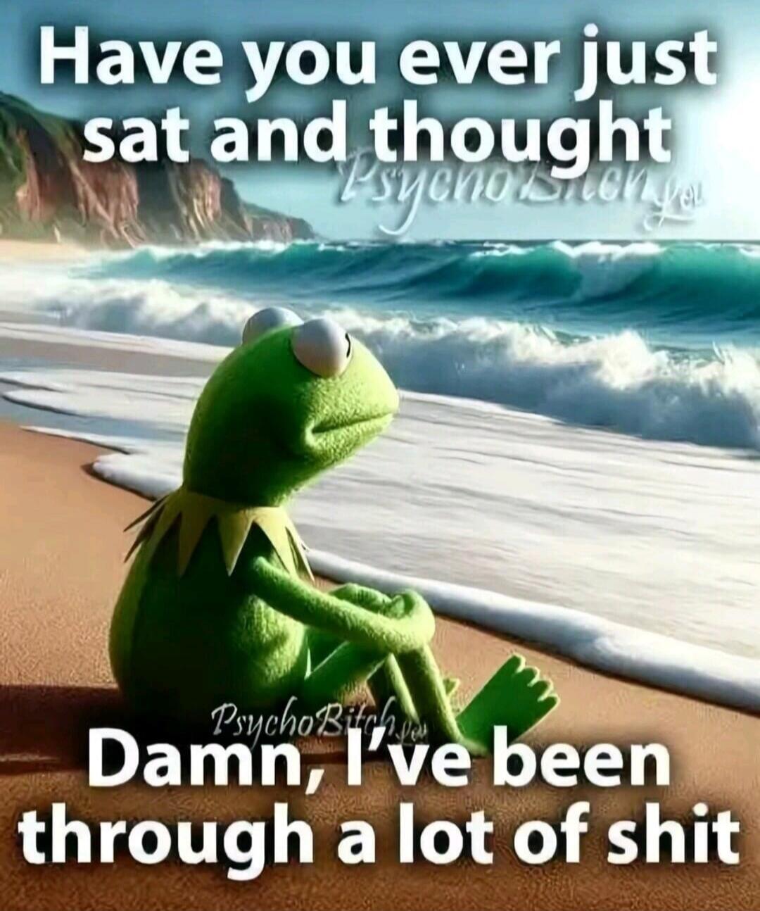 Have you ever just sat and thought Damn, I've been through a lot of shit