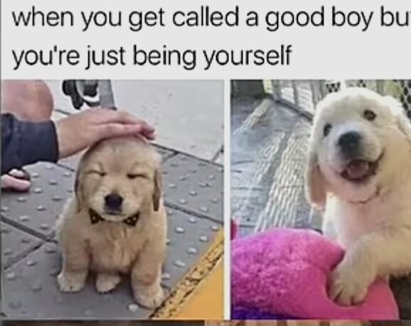 when you get called a good boy bu youre just being yourself