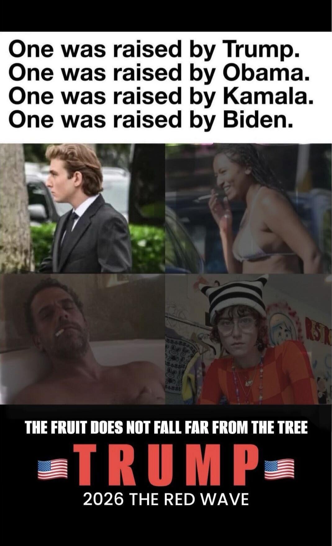 One was raised by Trump. One was raised by Obama. One was raised by Kamala. One was raised by Biden. THE FRUIT DOES NOT FALL FAR FROM THE TREE TRUMP 2026 THE RED WAVE