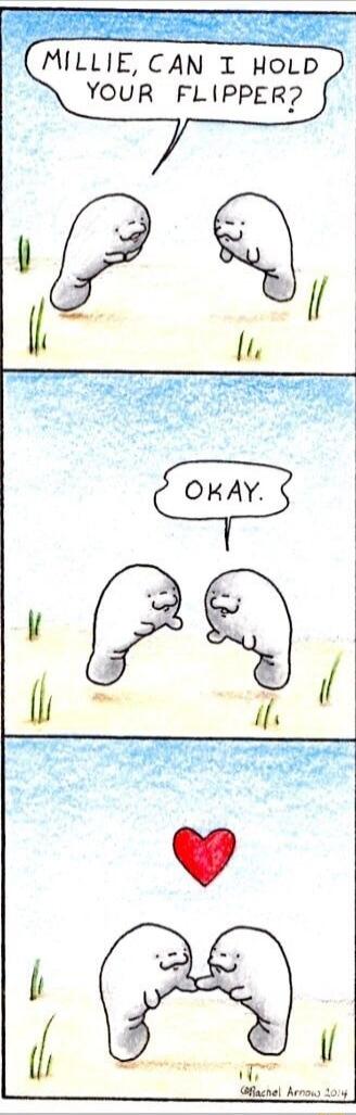 Millie, can I hold your flipper?
Okay.
❤️