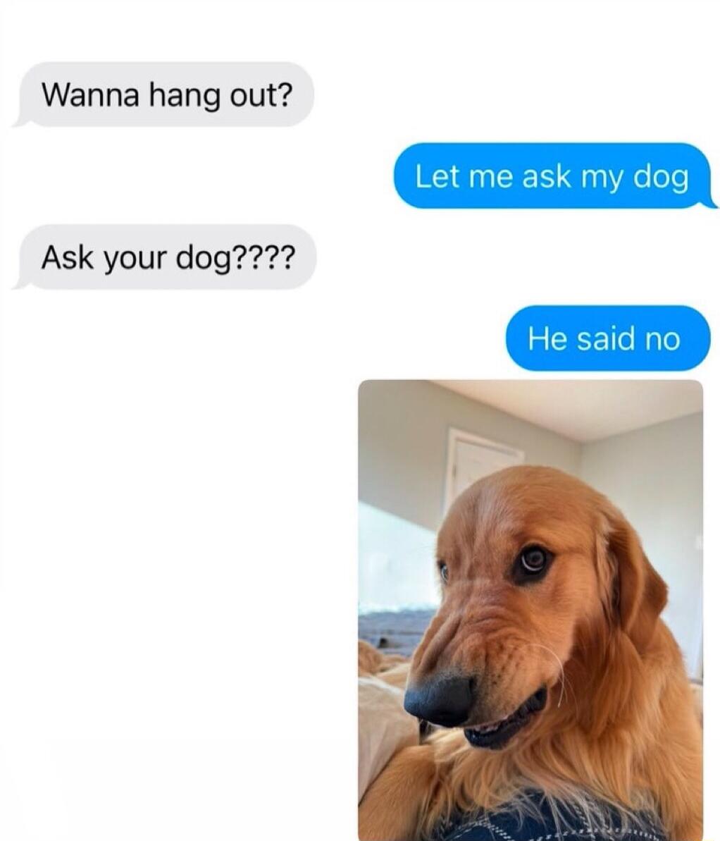 Wanna hang out Ask your dog