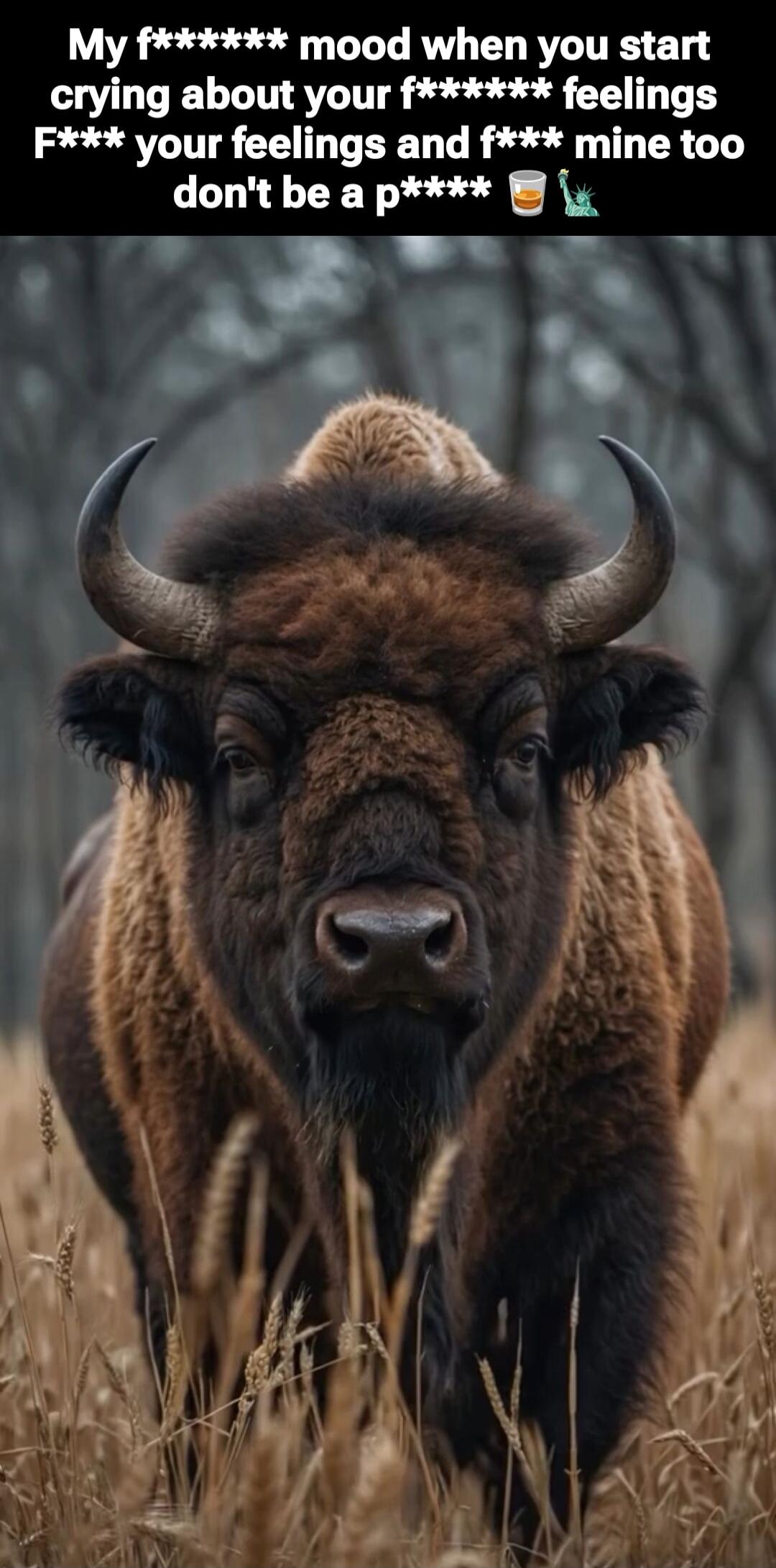 My f****** mood when you start crying about your f****** feelings f*** your feelings and f*** mine too don't be a p***** 🍺🌿