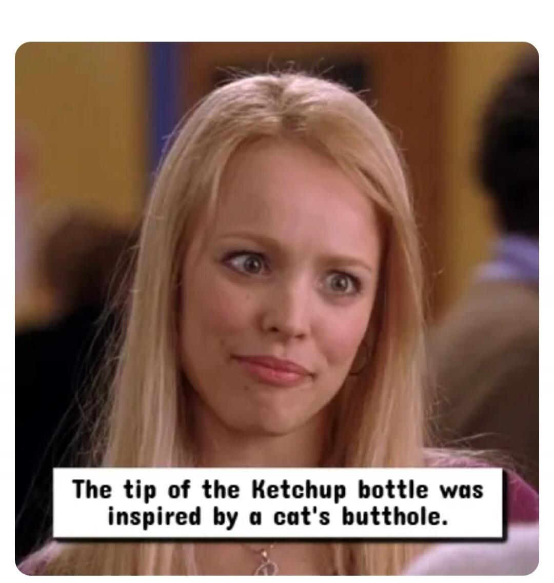 The tip of the Ketchup bottle was inspired by a cat's butthole.