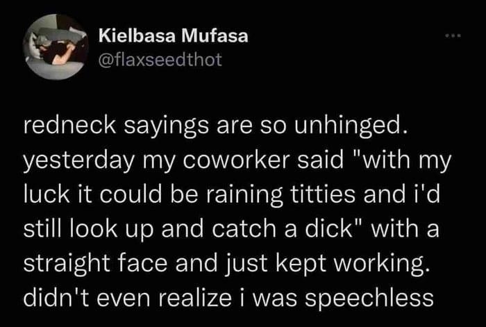 u Kielbasa Mufasa flaxseedthot redneck sayings are so unhinged yesterday my coworker said with my luck it could be raining titties and id still look up and catch a dick with a straight face and just kept working didnt even realize i was speechless 607 AM 62422 Twitter Web App 132K Retweets 1309 Quote Tweets 118K Likes