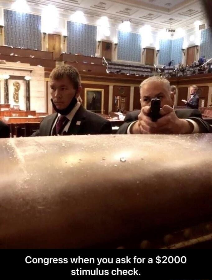 Congress when you ask for a 2000 stimulus check