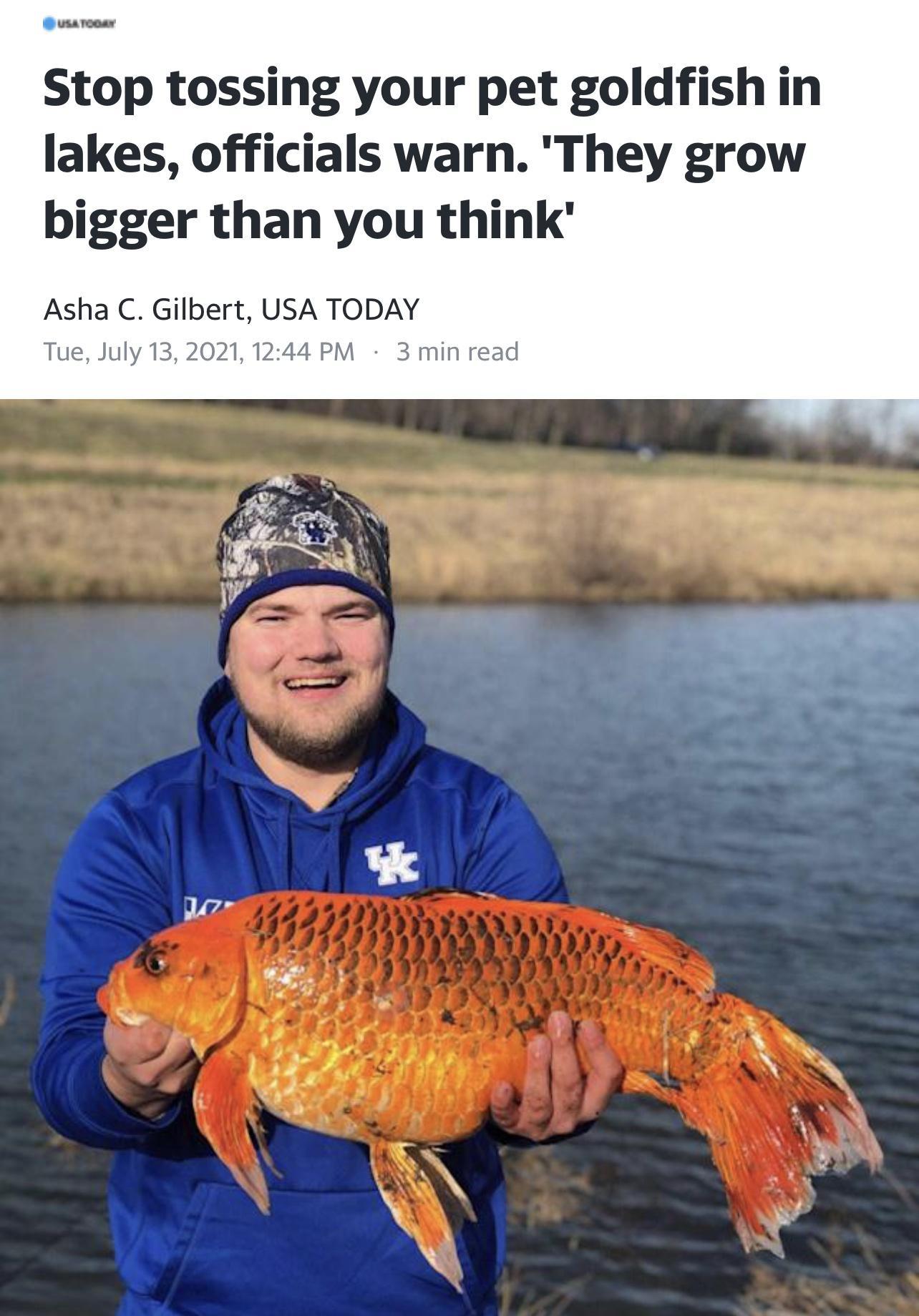 Stop tossing your pet goldfish in lakes officials warn They grow bigger than you think Asha C Gilbert USA TODAY Tue July 132021 1244 PM 3 min read