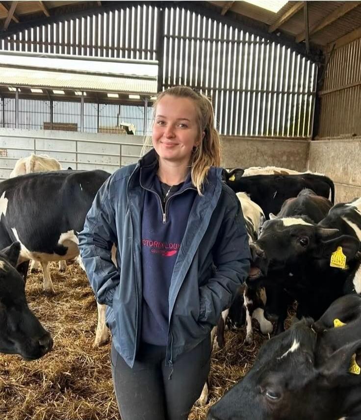 A young woman smiling in a barn surrounded by cows. She is wearing a jacket over a sweatshirt that says 'VICTORIA LOU'.
