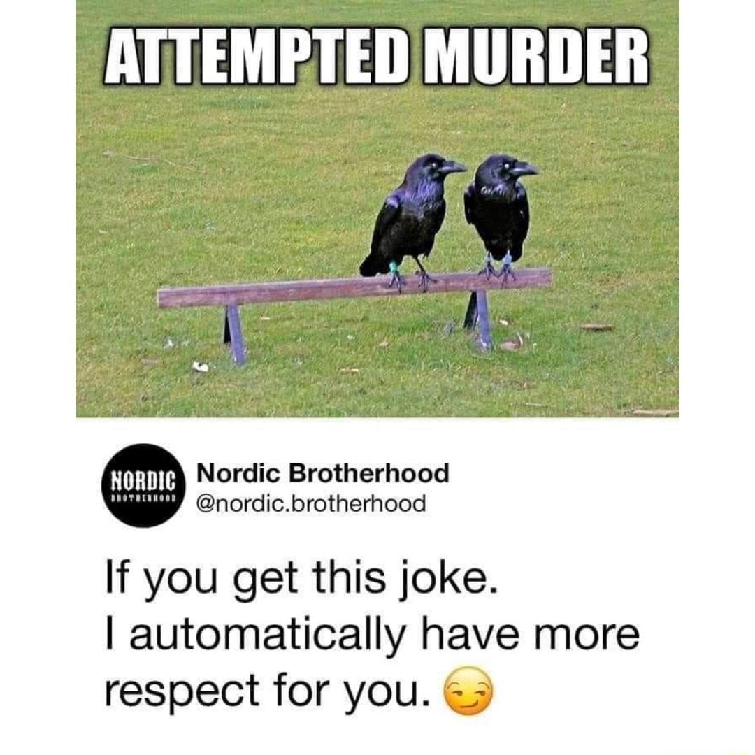 ATTEMETEDMURDER Nordic Brotherhood nordicbrotherhood If you get this joke automatically have more respect for you 2