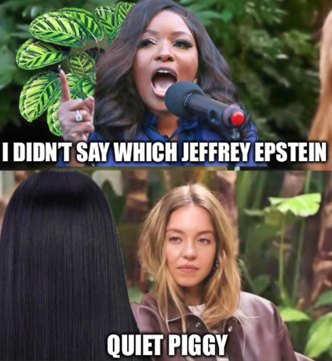 I DIDN'T SAY WHICH JEFFREY EPSTEIN QUIET PIGGY