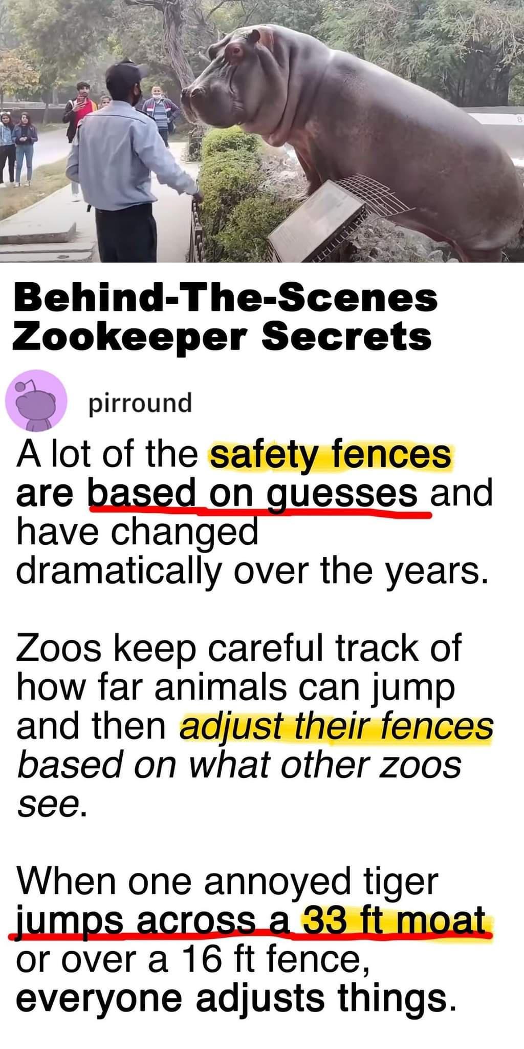 Behind TheScenes Zookeeper Secrets pirround A lot of the safety fences are based on guesses and have changed dramatically over the years Zoos keep careful track of how far animals can jump and then adjust their fences based on what other zoos see When one annoyed tiger jumps acrossa 33 ft moat or over a 16 ft fence everyone adjusts things