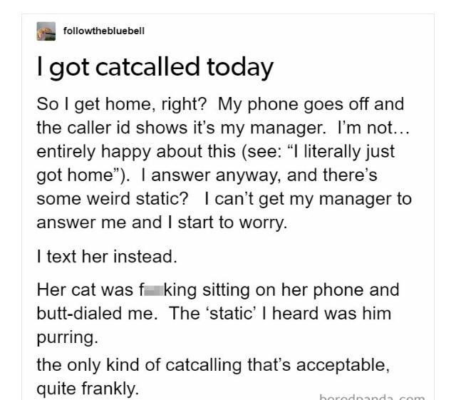 8 folowthebluebell got catcalled today So get home right My phone goes off and the caller id shows its my manager Im not entirely happy about this see literally just got home answer anyway and theres some weird static cant get my manager to answer me and start to worry text her instead Her cat was firking sitting on her phone and butt dialed me The static heard was him purring the only kind of cat
