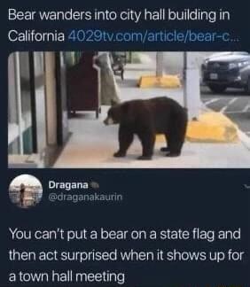 Bear wanders into city hall building in California 4029tvcomarticlebear c Dragana draganakaurin You cant put a bear on a state flag and then act surprised when it shows up for atown hall meeting