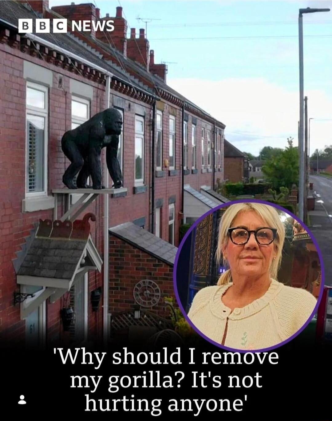 BBC NEWS. Why should I remove my gorilla? It's not hurting anyone.
