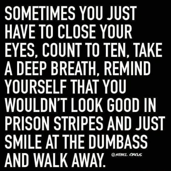 SOMETIMES YOU JUST HAVE T0 CLOSE YOUR EYES COUNT TO TEN TAKE A DEEP BREATH REMIND YOURSELF THAT YOU WOULDNT LOOK GOOD IN PRISON STRIPES AND JUST SMILE AT THE DUMBASS IR A