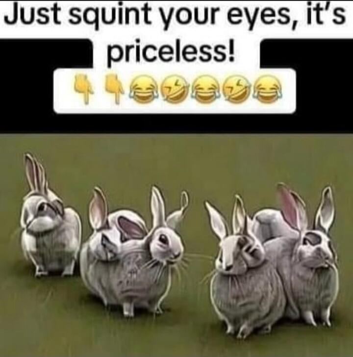 Just squint your eyes, it's priceless!
