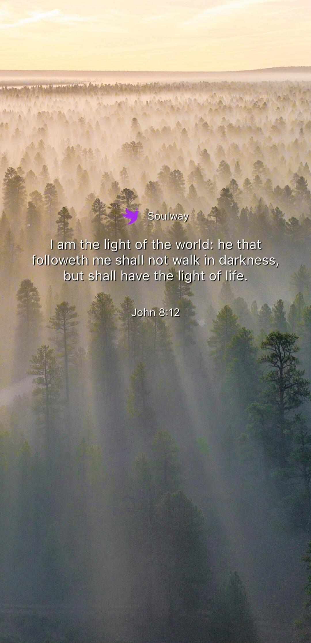 Soulway I am the light of the world: he that followeth me shall not walk in darkness, but shall have the light of life. John 8:12