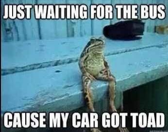 JUST WAITING FOR THE BUS
CAUSE MY CAR GOT TOAD