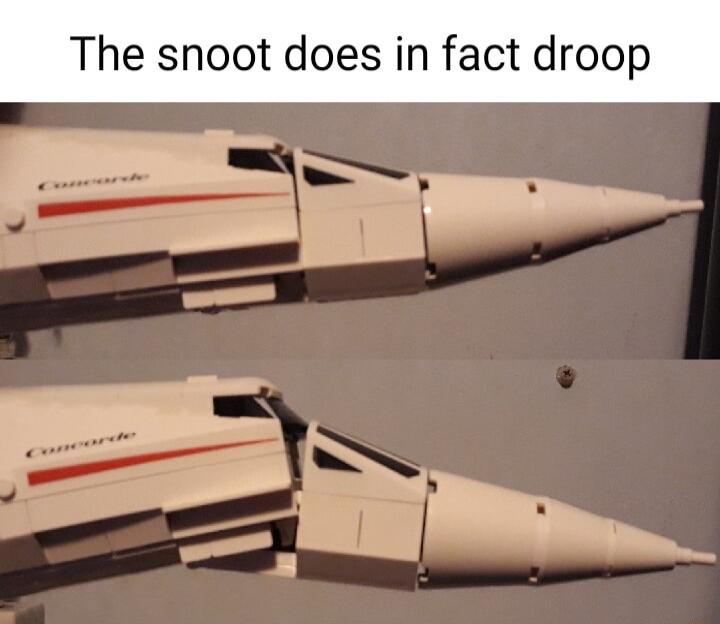 The snoot does in fact droop