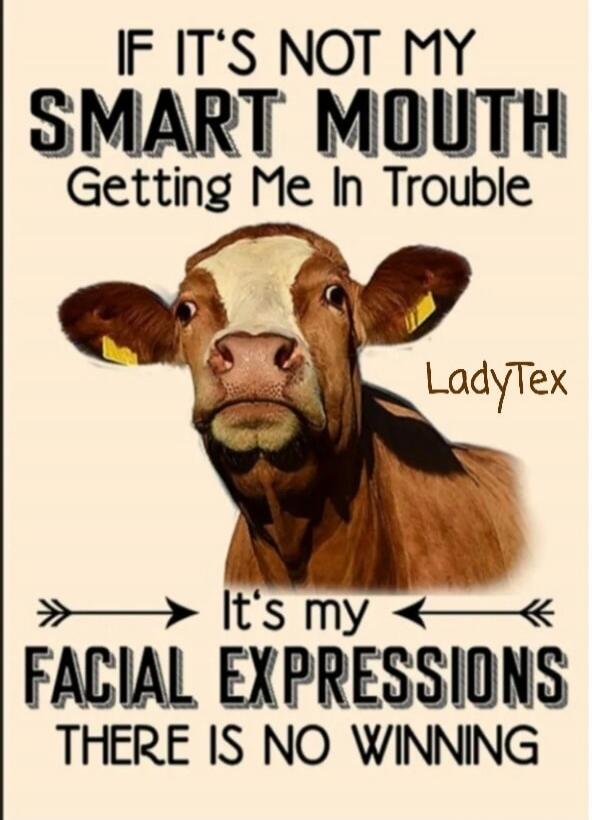 IF IT'S NOT MY SMART MOUTH GETTING ME IN TROUBLE IT'S MY FACIAL EXPRESSIONS THERE IS NO WINNING