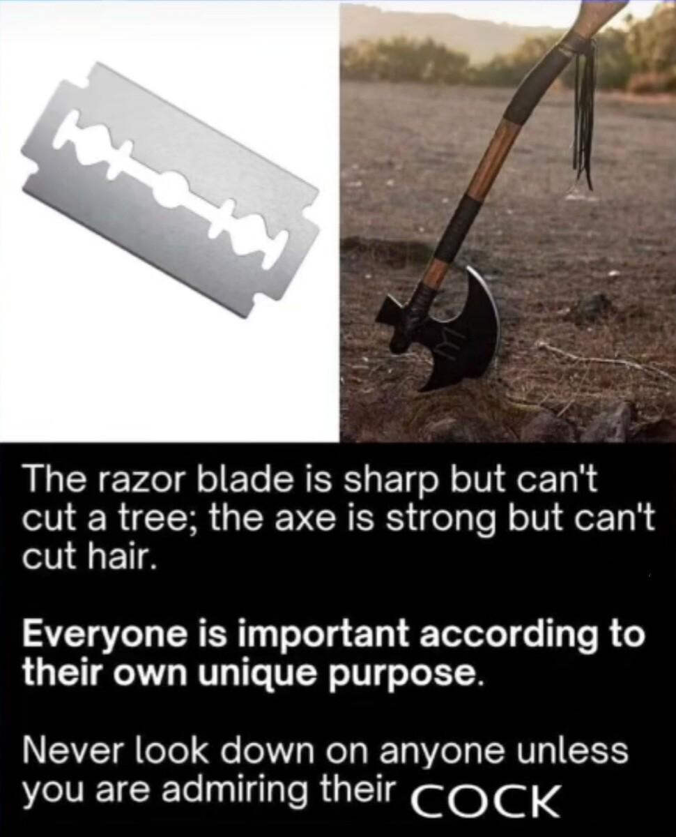 The razor blade is sharp but cant TR R RV ER RS felplef oIV er To N cut hair AT RN To g e Telolel e Te R 6 their own unique purpose Never look down on anyone unless you are admiring their COCK