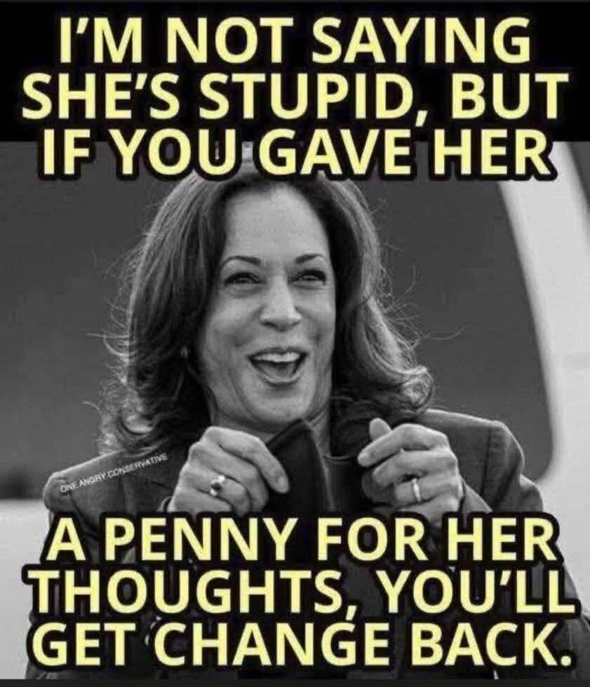 I'M NOT SAYING SHE'S STUPID, BUT IF YOU GAVE HER A PENNY FOR HER THOUGHTS, YOU'LL GET CHANGE BACK. ONE ANGRY CONSERVATIVE