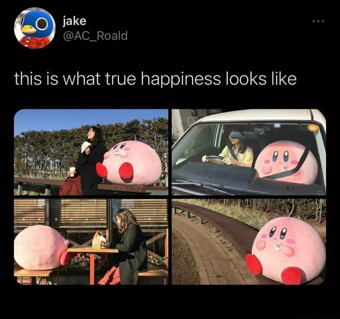 jake Sead AC_Roald this is what true happiness looks like