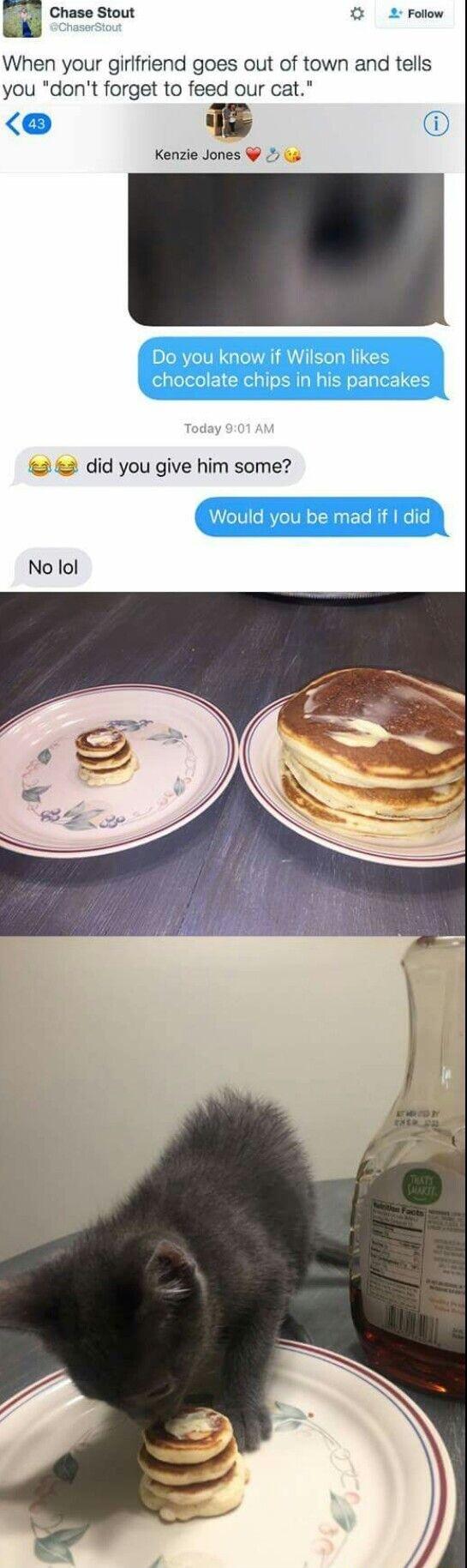 4 Chase Stout el L Follow When your girifriend goes out of town and tells you dont forget to feed our cat i Kenzie Jones s 2 did you give him some No lol