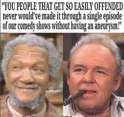YOU PEOPLE THAT GET S0 EASILY OFFENDED never wouldve made it through a single episode of our comedy shows without having an aneurysm