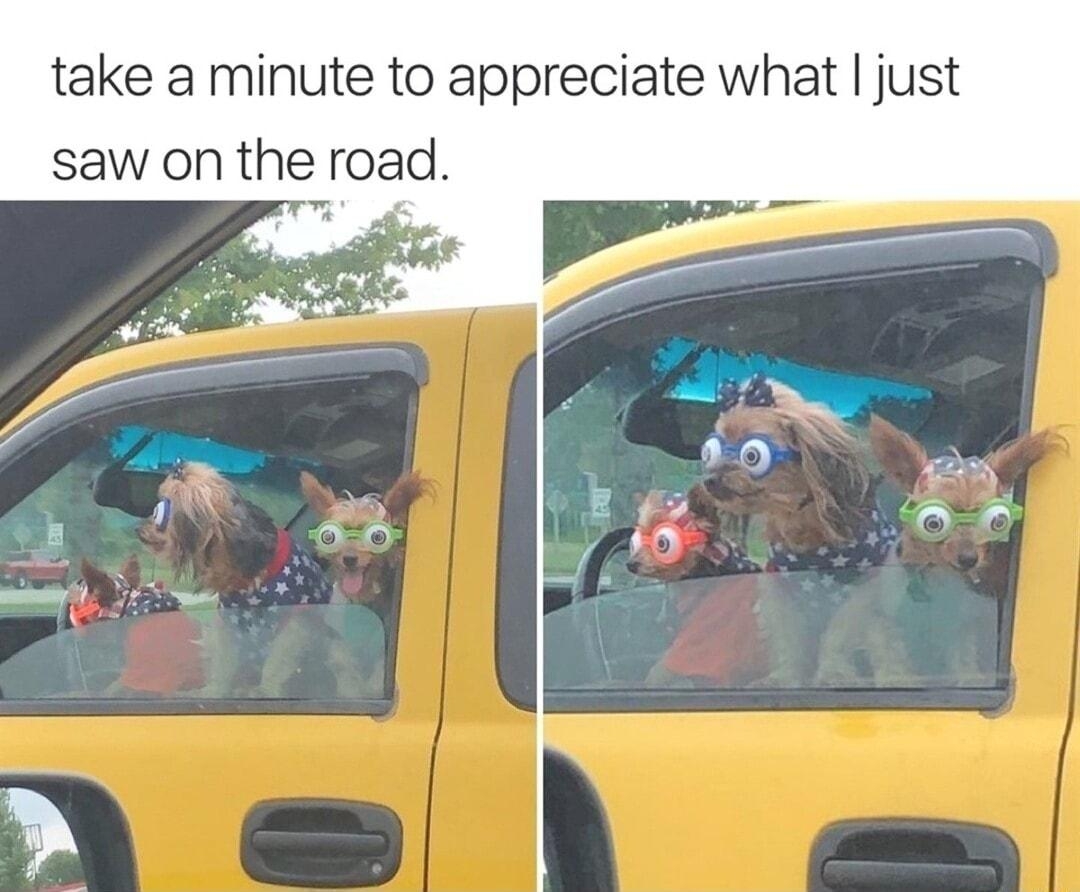 Rugged Chungus TheCre take a minute to appreciate what just saw on the road