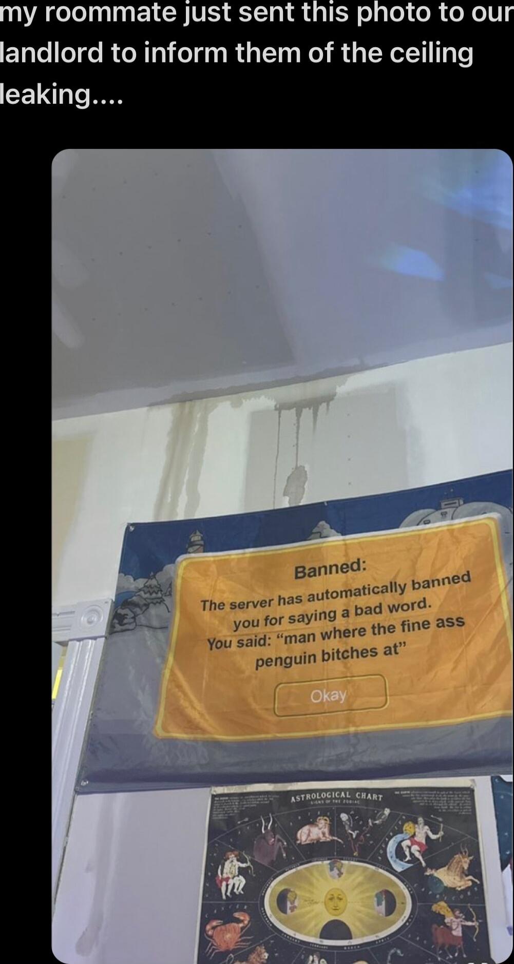 VAL ELCH VR ST R TR el pe ol o Nl andlord to inform them of the ceiling CEI