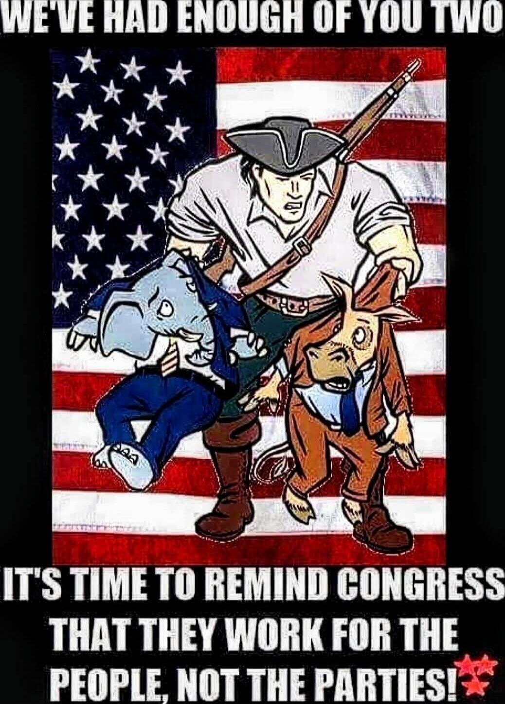 WE'VE HAD ENOUGH OF YOU TWO IT'S TIME TO REMIND CONGRESS THAT THEY WORK FOR THE PEOPLE, NOT THE PARTIES!